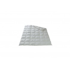 Duvet Dorbena Léger pour toute l'année oie pure 480gr  160x210