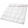 Duvet Sleepline Clima Outlast Daune light 160x211