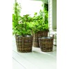 Tetbury Planter - Medium