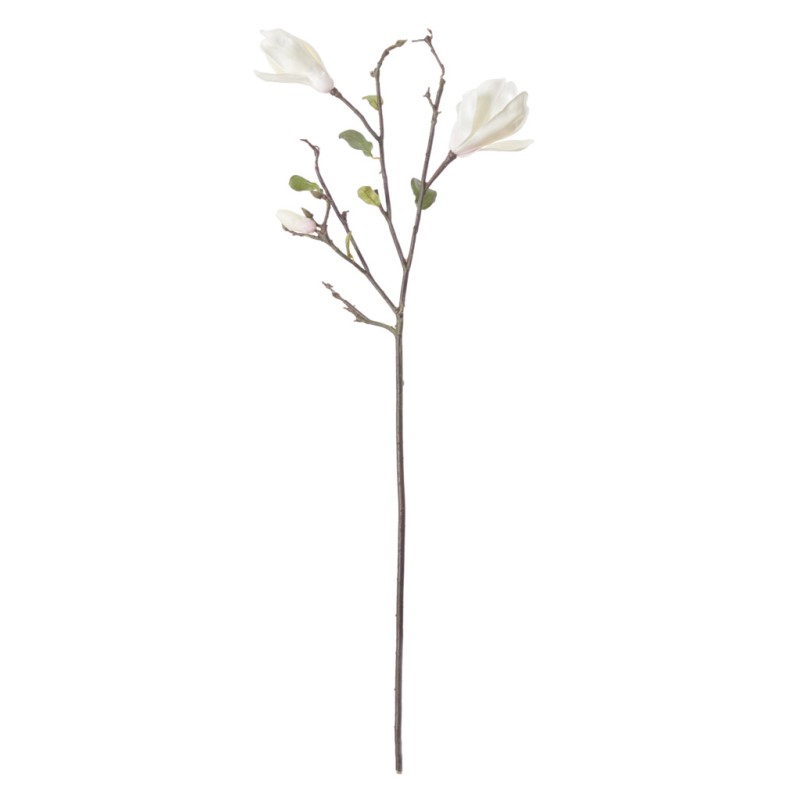 https://www.styles-interiors.ch/9514-thickbox/magnolia-branch-white.jpg